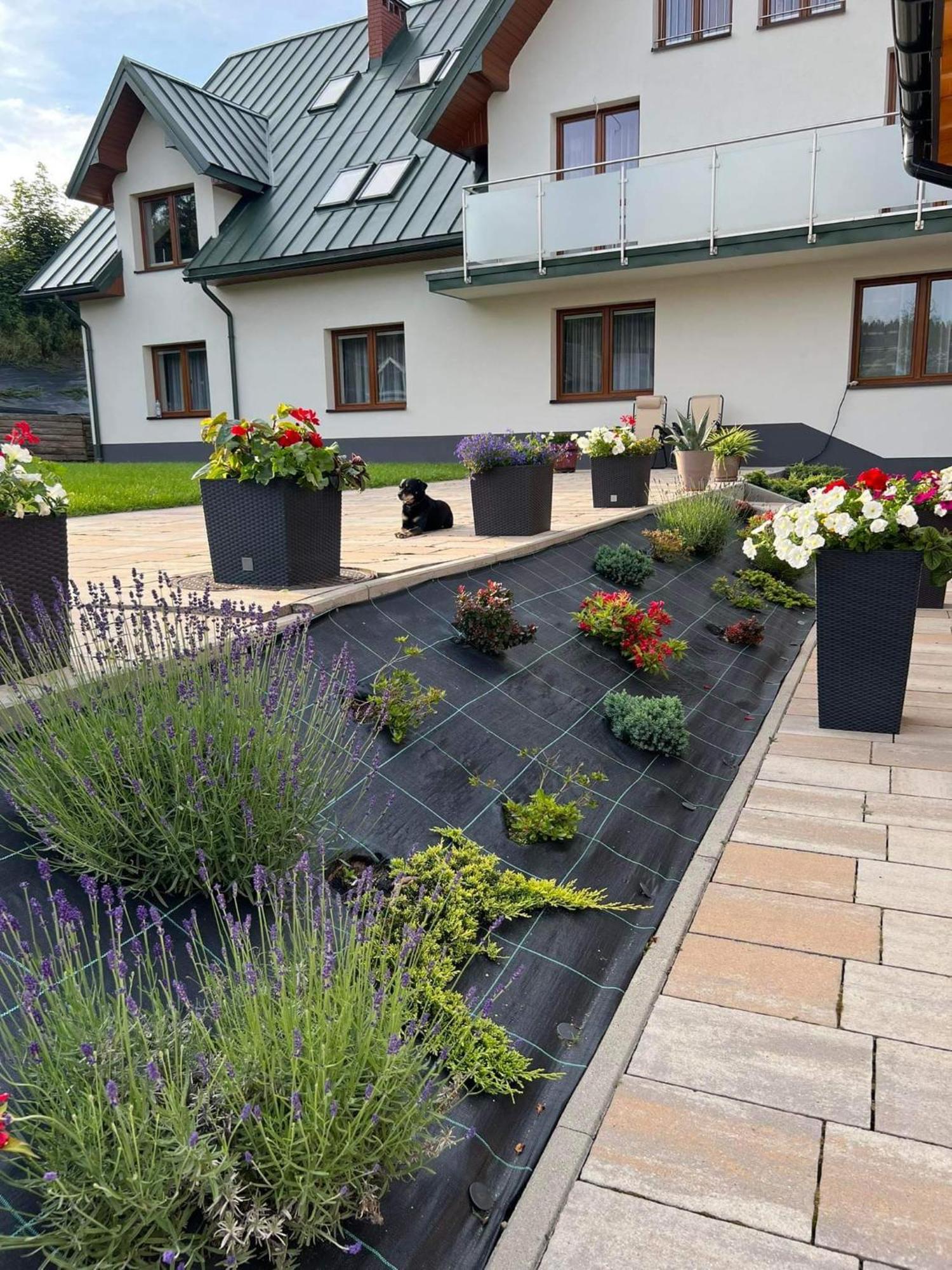 Gorska Przystan Spa 克雷尼察 外观 照片